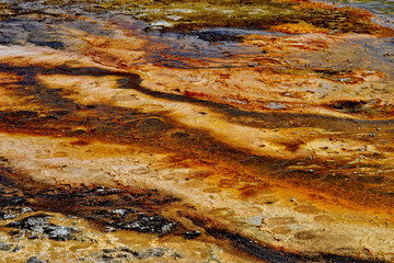 Yellowstone National Park