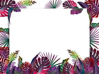 Fototapeta na wymiar Colorful summer tropical background with exotic palm leaves, free space for your text