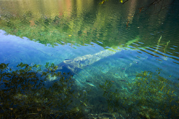 Autumn in Plitvice lakes national park in Croatia