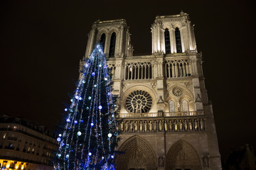 Christmas tree in front of the Notre Dame cathedral in the evening. Paris, France.