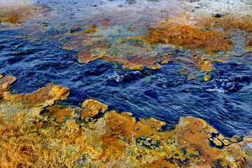 Yellowstone National Park