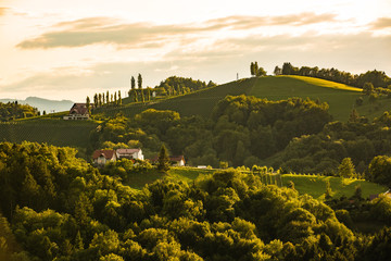 countryside in southern styria