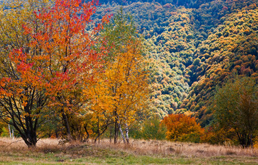 beautiful autumn scene in Apuseni mountains, Carpathians, Romania