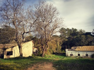 Fototapeta premium Country side