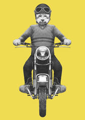 Maltese Poodle rides motorcycle. Hand-drawn illustration.
