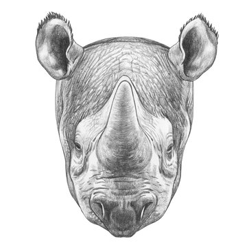 Portrait of Rhinoceros. Hand-drawn illustration.