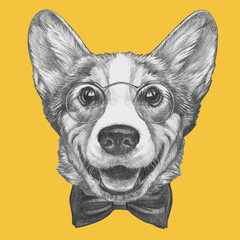 Portrait of Pembroke Welsh Corgi with glasses and bow tie. Hand-drawn illustration.