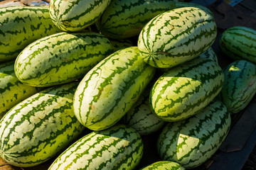 striped watermelon
