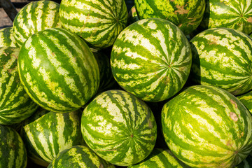 ripe watermelons