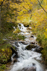 Fototapeta na wymiar A waterfall and stream cascading through the autumn foliage