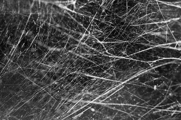 beautiful photo of spider web, abstraction, incredible background