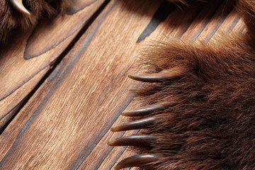 Brown bear claws, hunting trophy, on wooden floor.Copy space. Close up.Concept hunters trophies