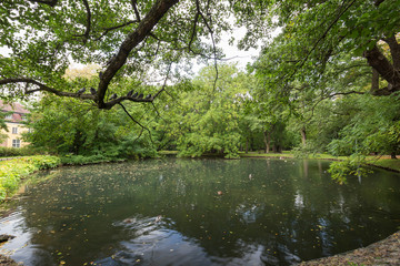 Fototapeta na wymiar View of lush trees and a small pond at the Oliwa Park (Park Oliwski). It's a public park in Gdansk, Poland.