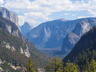 Naklejka premium Yosemite National Park - California, USA
