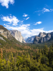 Obraz premium Yosemite National Park - California, USA