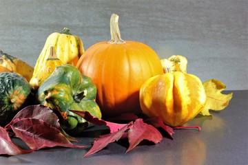 Still life of ornamental gourds in October as a background