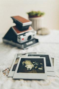 Vintage  photos and camera