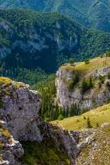 Summer hills landscape