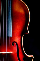 Silhouette of a Violin