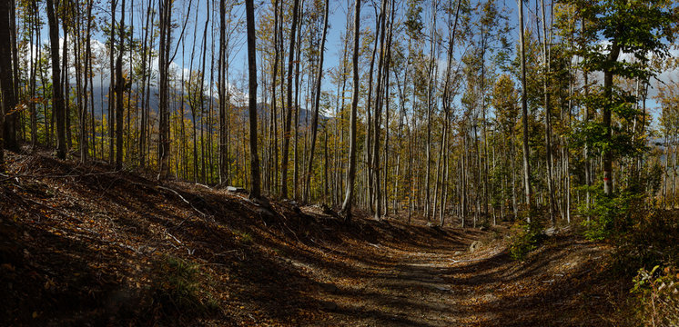 Autunno in Val D'Aveto