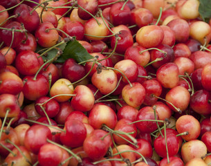 Cherries 