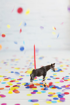 Colourful confetti falling on okapi toy decorated with birthday candle