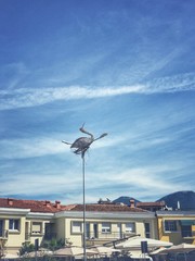 large bird installation on a street lamp in Tirana center.