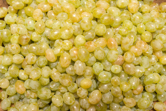 Yellow Grapes