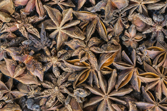 Close-up of star anise fruits and seeds