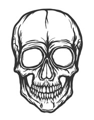 Skull vector isolated on white background. Handdrawn illustration.