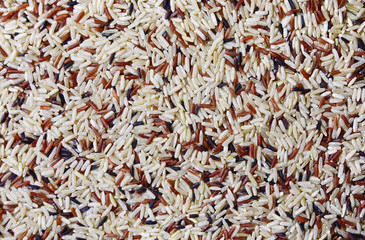 High quality world's rice background texture. Mix of several varieties.