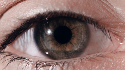 Close-up of a beautiful young woman's green eye. Close-up of green human eye. green eye very...