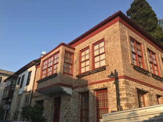 flower nature  spring green plant pink blossom floral white