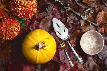 autumn background with pumpkin, leaves and flowers