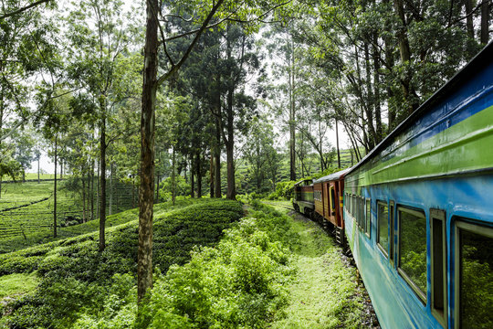 Train from Ella to Kandy