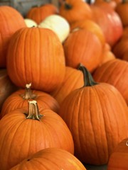 Seasonal Pumpkin Display