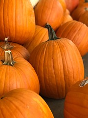 Seasonal Pumpkin Display
