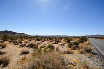 Joshua Tree National Park, U.S. National Park