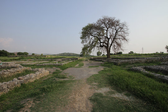 Sirkap site near Taxila, Pakistan