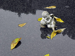 Mirogoj Zagreb's main cemetery,rainy autumn,details,4