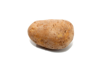 potato isolated on white background