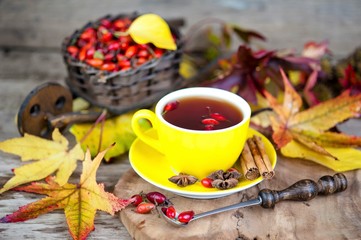hot tea with rose hips, autumn, rain