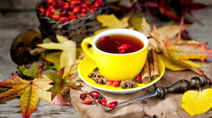 a cup of tea with a dog rose, autumn