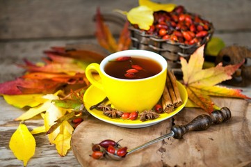 a cup of tea with a dog rose, autumn