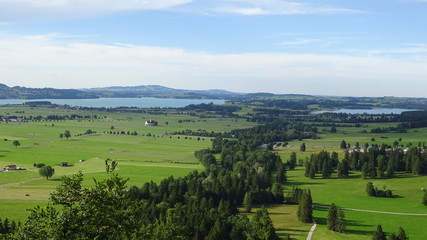 Obraz premium Schloss Neuschwanstein / Schongau mit Forggensee.