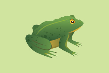 Frog Cartoon Vector Illustration isolated. tropical animal