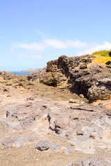 Southern Seascapes.