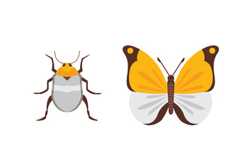 Set of different insects in cartoon style. Butterfly and beetle.