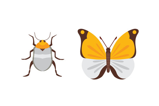 Set of different insects in cartoon style. Butterfly and beetle.