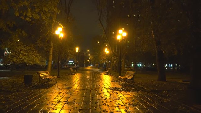 night walk in the autumn city Park